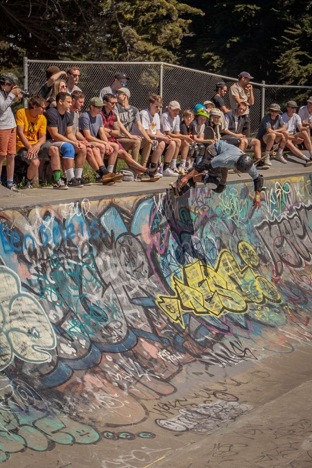 _MG_1867